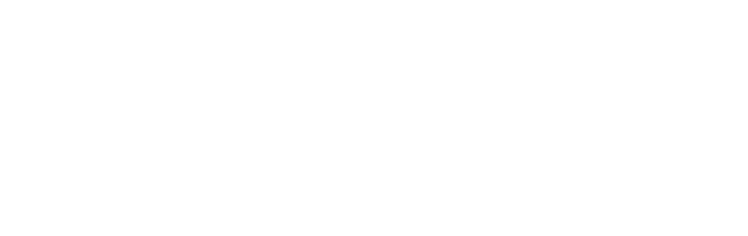 PolusAI Logo